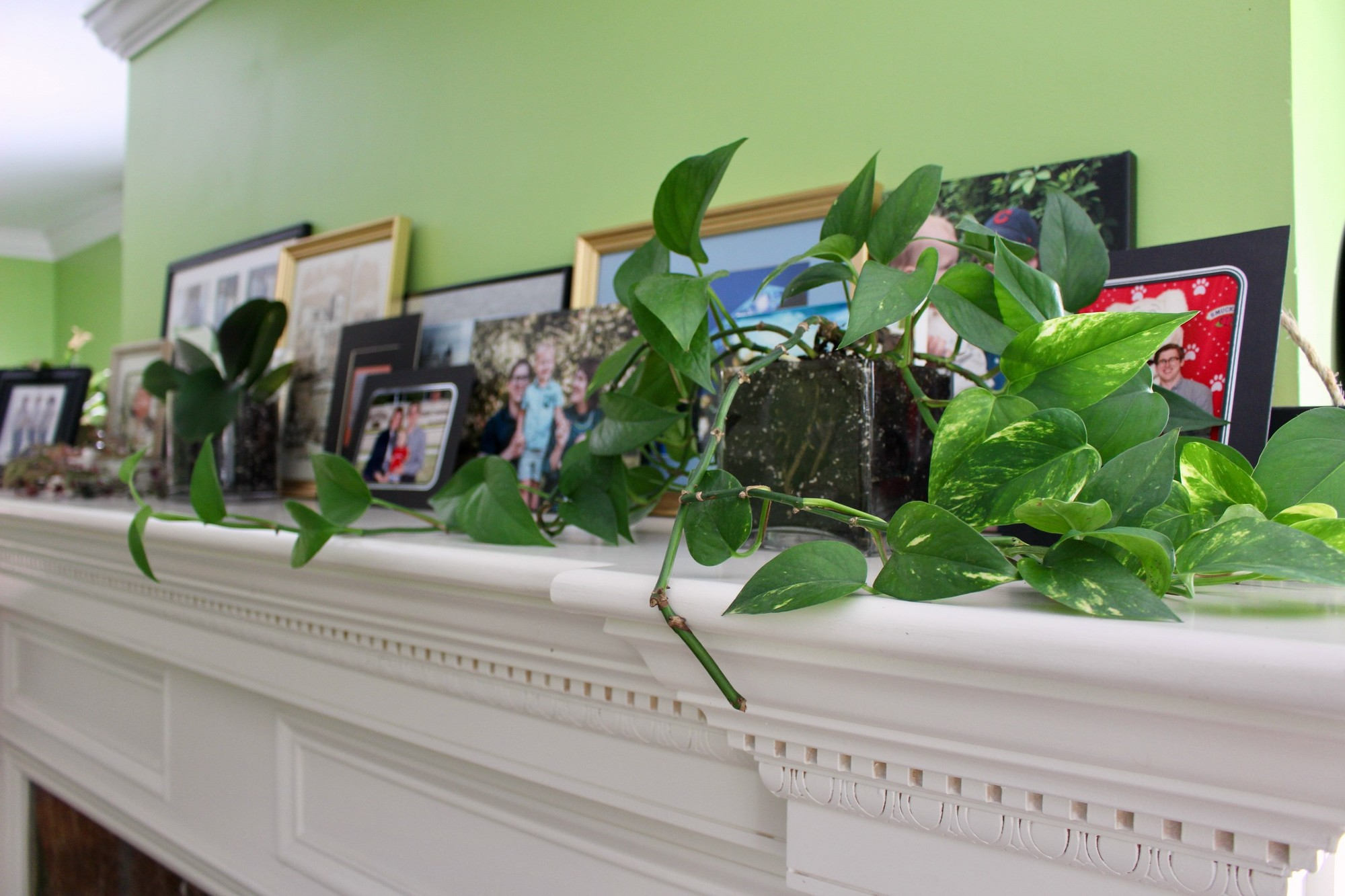 Thrifted Planters Goodwill Akron