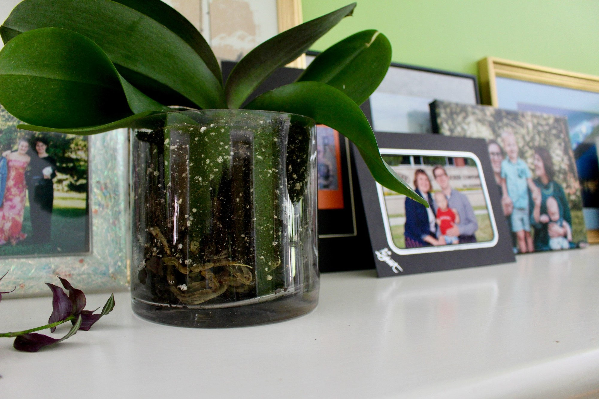 Thrifted Planters Goodwill Akron