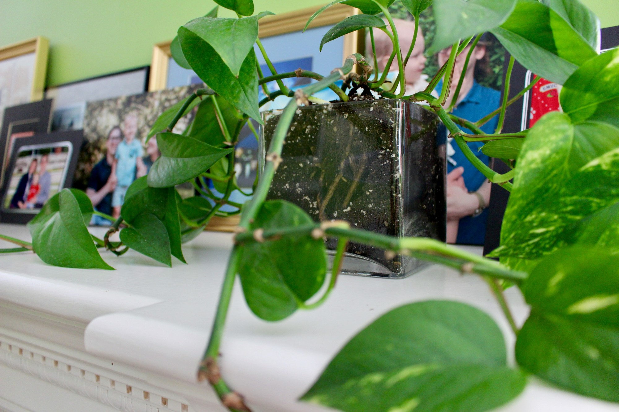 Thrifted Planters Goodwill Akron